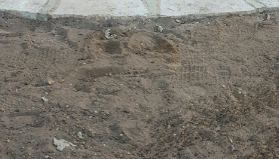 Excavation