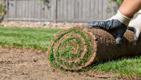 Turfing