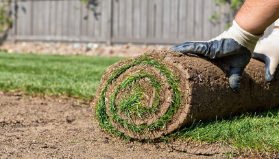 All Together Gardens Turfing Services